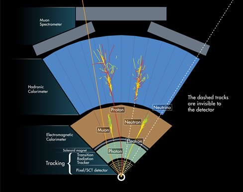 How ATLAS Detects Particles Diagram Of Particle Paths In The Detector